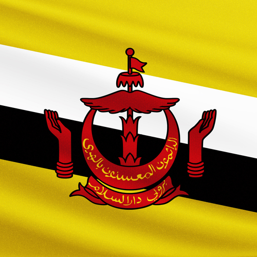 Drapeau de Brunei 