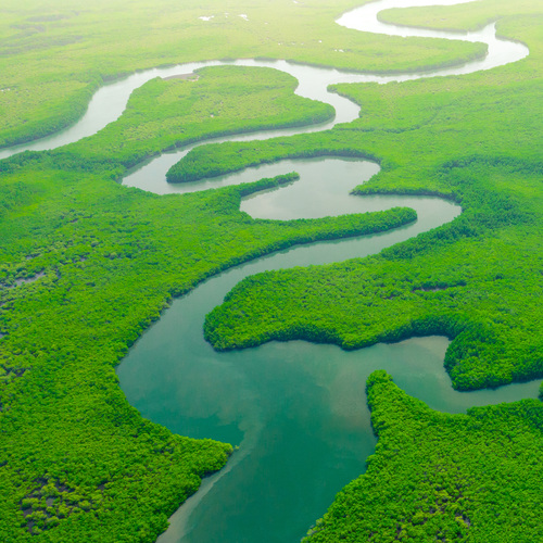 Amazone, le fleuve le plus long du monde.