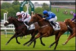 Sport hippique