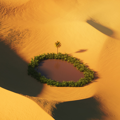 Oasis dans le désert