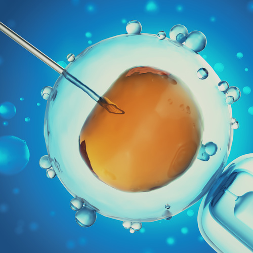 PMA / Illustration d'une fécondation in vitro