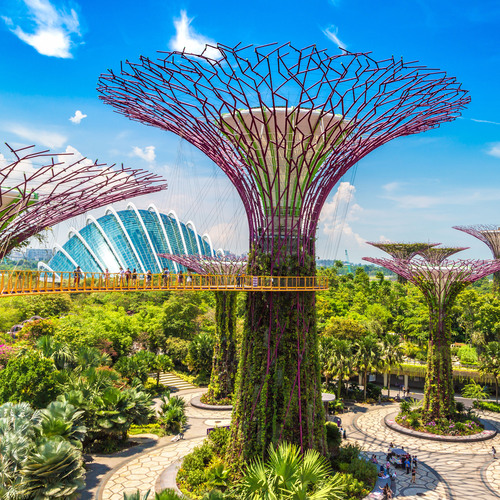 Jardin singapourien 